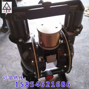 點(diǎn)擊查看詳細(xì)信息<br>標(biāo)題：氣動(dòng)隔膜泵 閱讀次數(shù)：1580