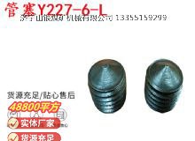 點擊查看詳細(xì)信息<br>標(biāo)題：英格索蘭隔膜泵配件管塞Y227-6-L 閱讀次數(shù)：176