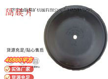 點擊查看詳細(xì)信息<br>標(biāo)題：氣動隔膜泵配件-隔膜片 閱讀次數(shù)：143